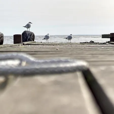 Apartmán Haus Unter Den Drei Baeumen - Urlaub Auf Der Sonneninsel Usedom *